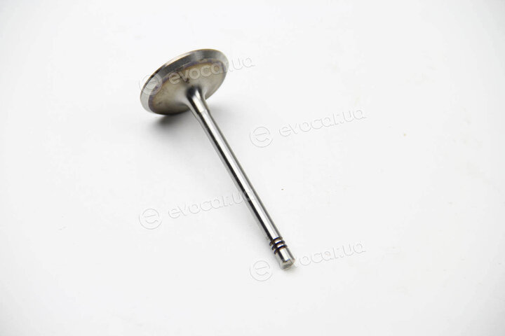 BGA V991759