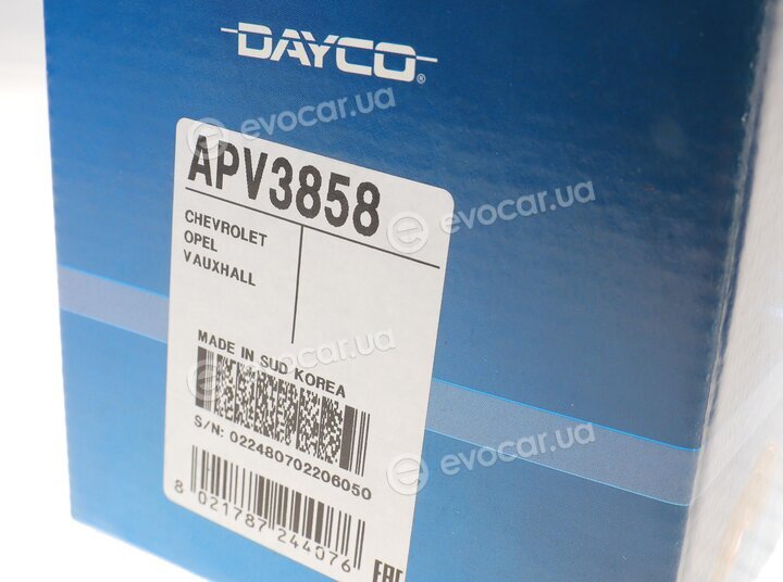 Dayco APV3858