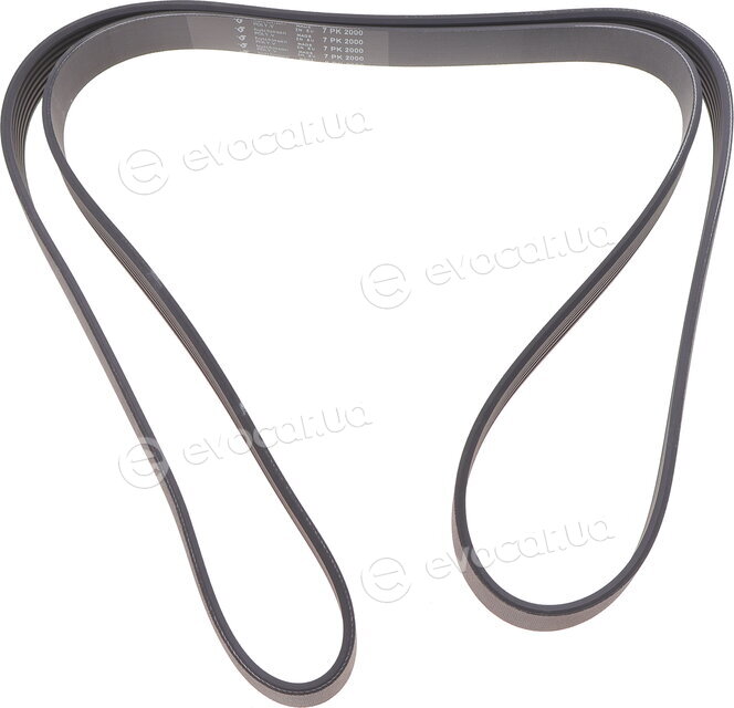Hutchinson 2000 K 7