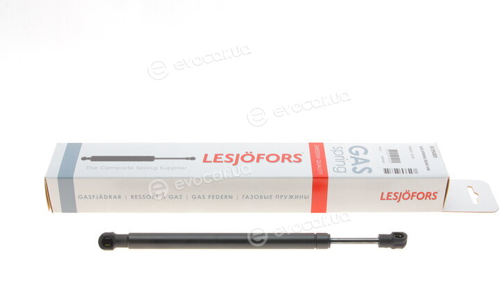 Lesjofors 8195089