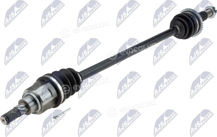NTY NPW-NS-166
