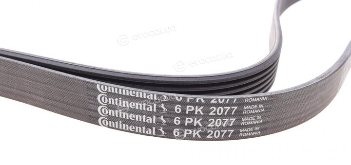 Continental 6PK2077