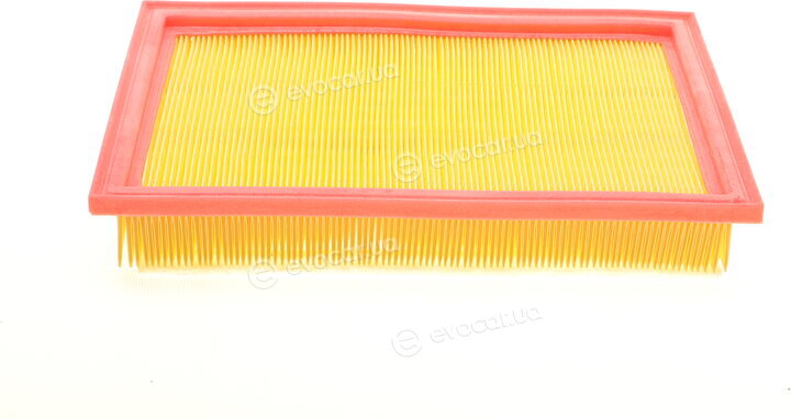 Solgy 103086