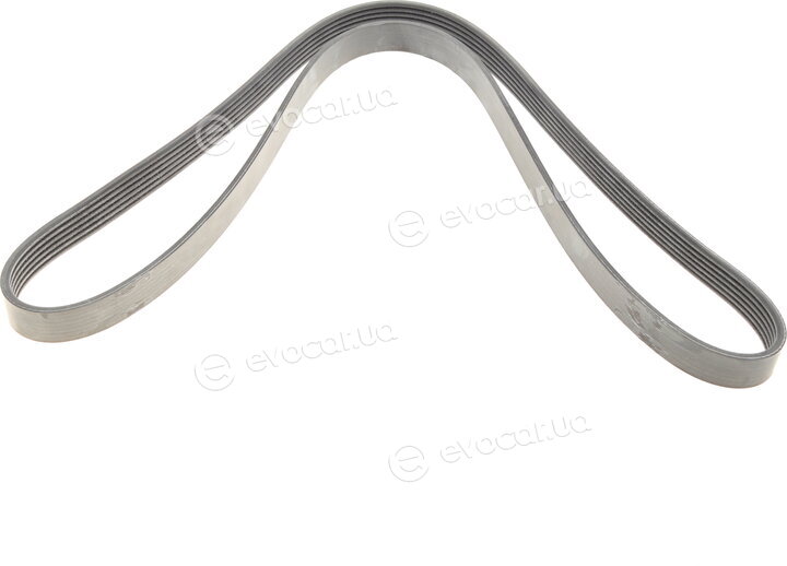 Dayco 6PK1372