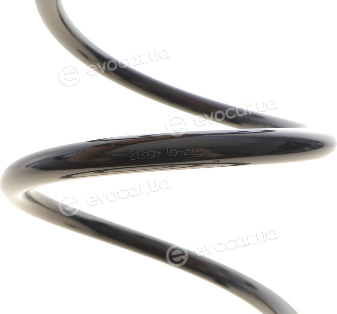 Solgy 212159