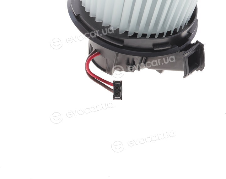 AIC 55365