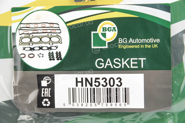 BGA HN5303