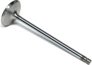 Gunes 6516