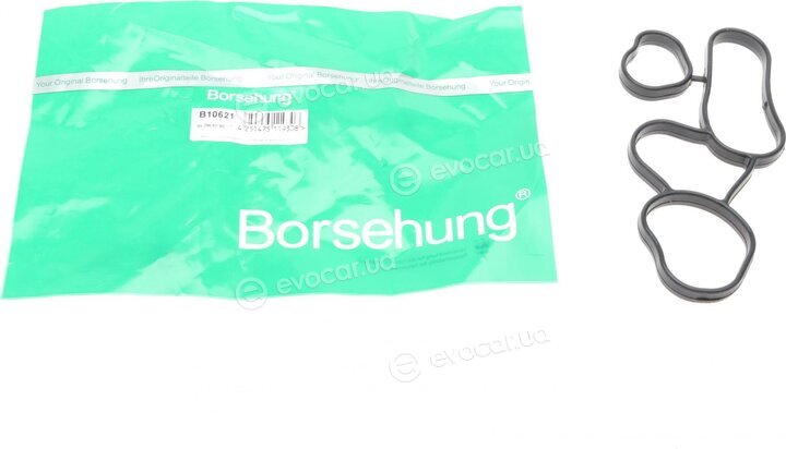 Borsehung B10621