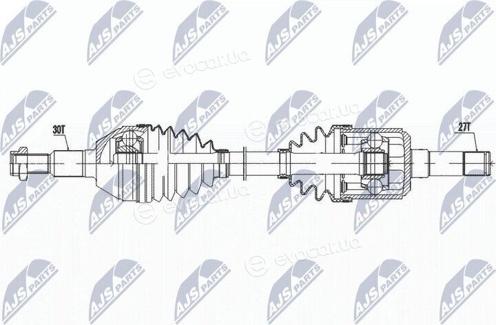 NTY NPW-PL-145