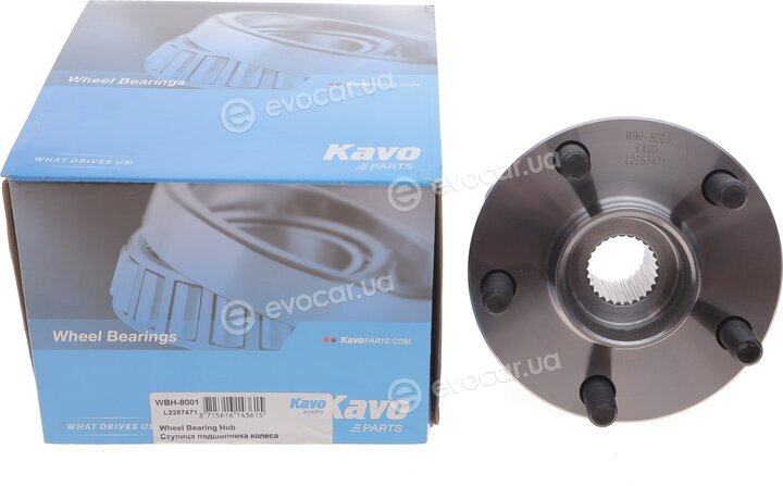Kavo WBH-8001