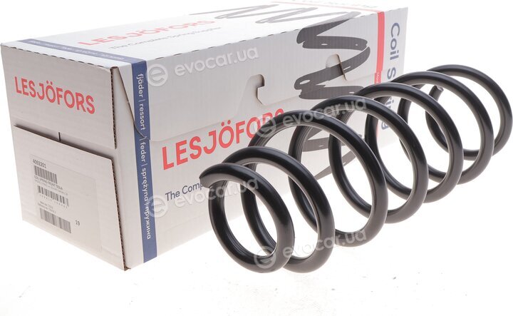 Lesjofors 4092201