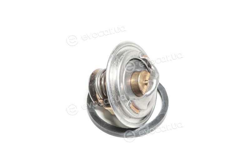 Wahler / BorgWarner 4151.76D