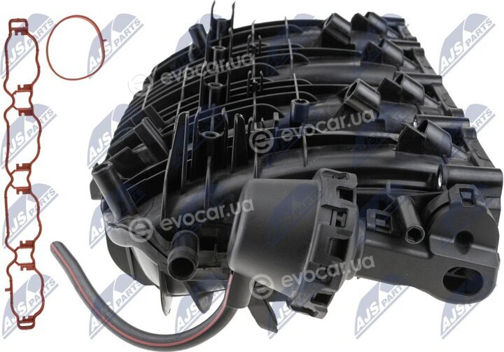 NTY BKS-VW-034