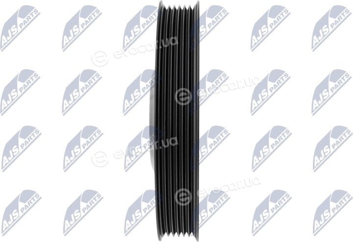NTY RKP-PL-008