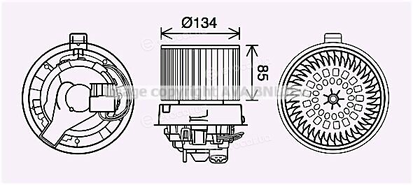 Ava Quality RT8635