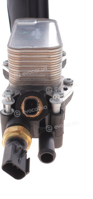 Blue Print ADBP210029