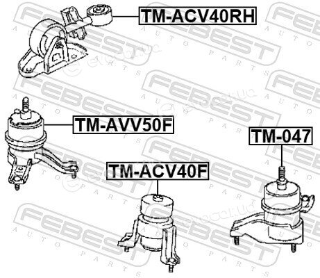Febest TM-AVV50F