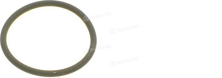 Bosch F 00N 350 001