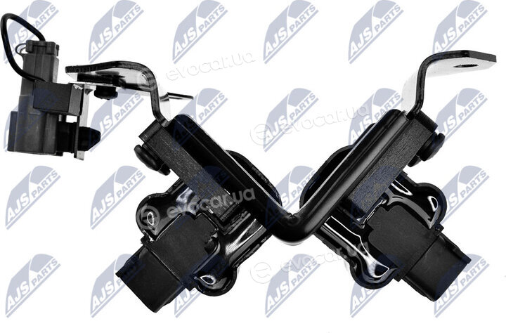 NTY ECZ-HY-501