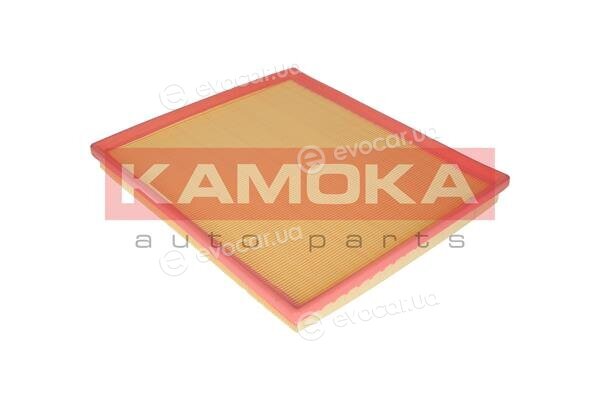 Kamoka F217901