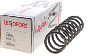 Lesjofors 4272921