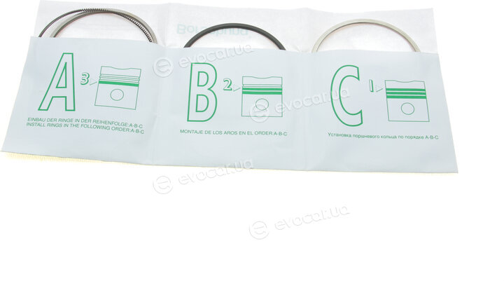 Borsehung B19040