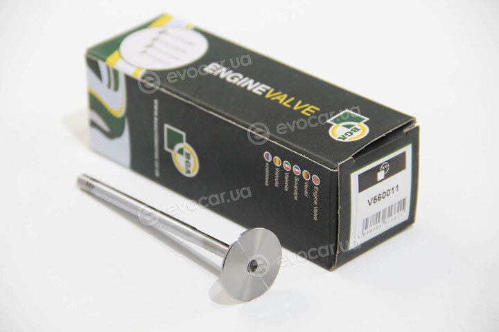 BGA V560011