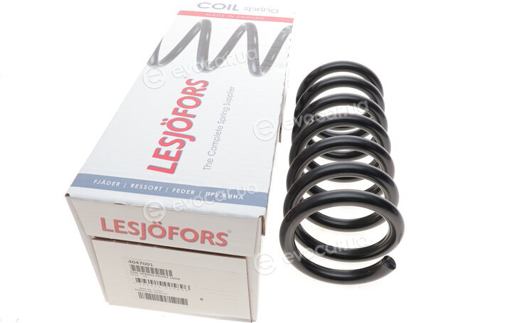 Lesjofors 4047001