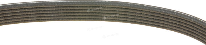 Dayco 6PK1880