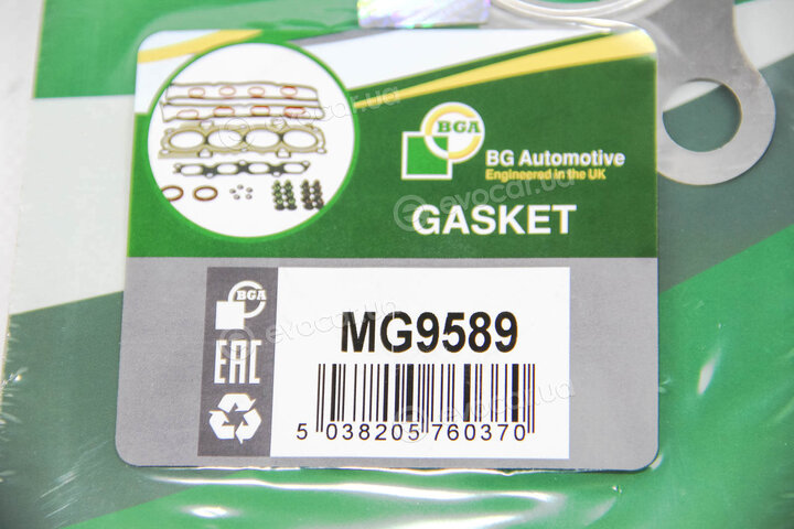 BGA MG9589