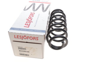 Lesjofors 4295110