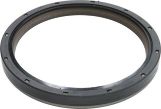 Elring 503.209