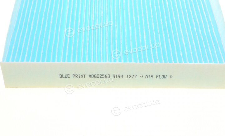 Blue Print ADG02563