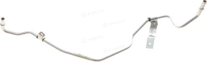 AIC 55969