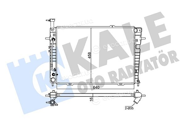 Kale 347850