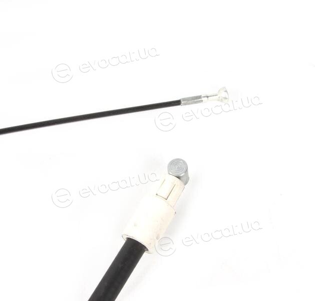 Solgy 219038
