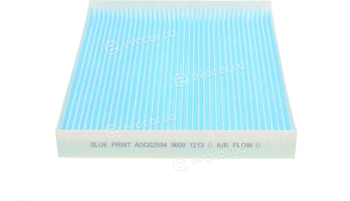 Blue Print ADG02594