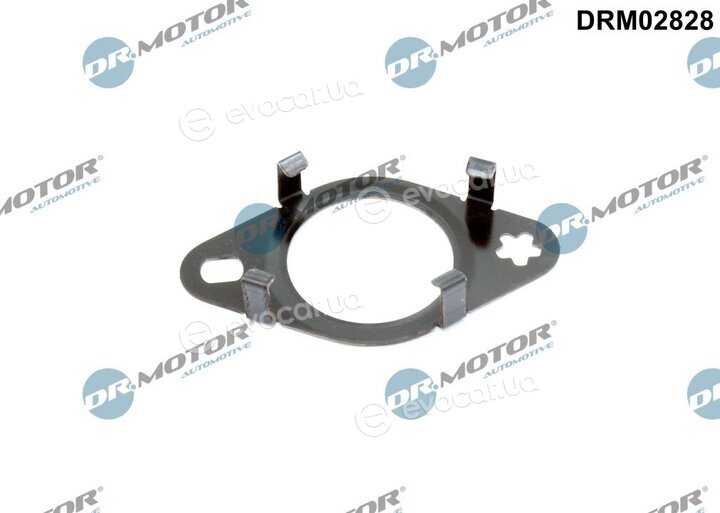 Dr. Motor DRM02828