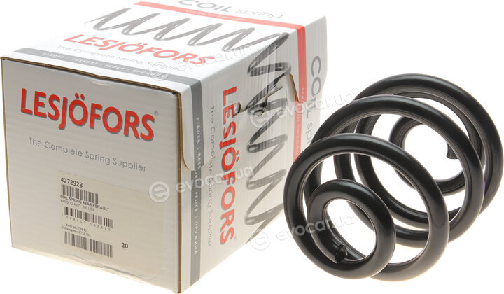 Lesjofors 4272928