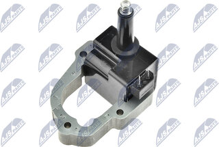 NTY ECZ-NS-012