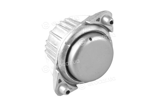 Tedgum TED99086
