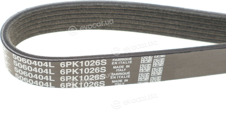 Dayco KPV288