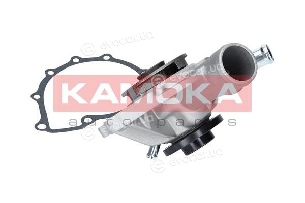 Kamoka T0197