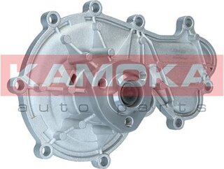 Kamoka T0317