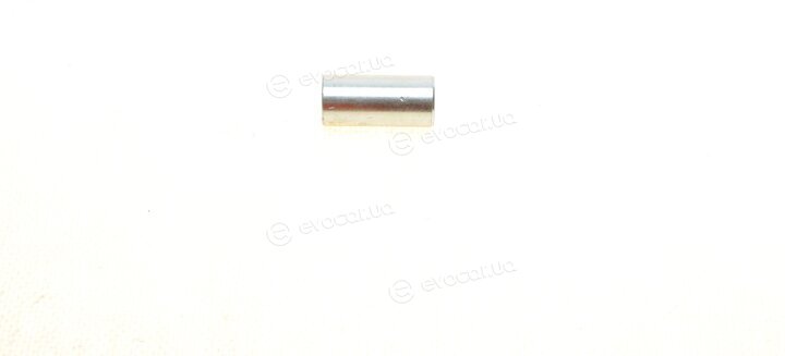 Blue Print ADBP800138