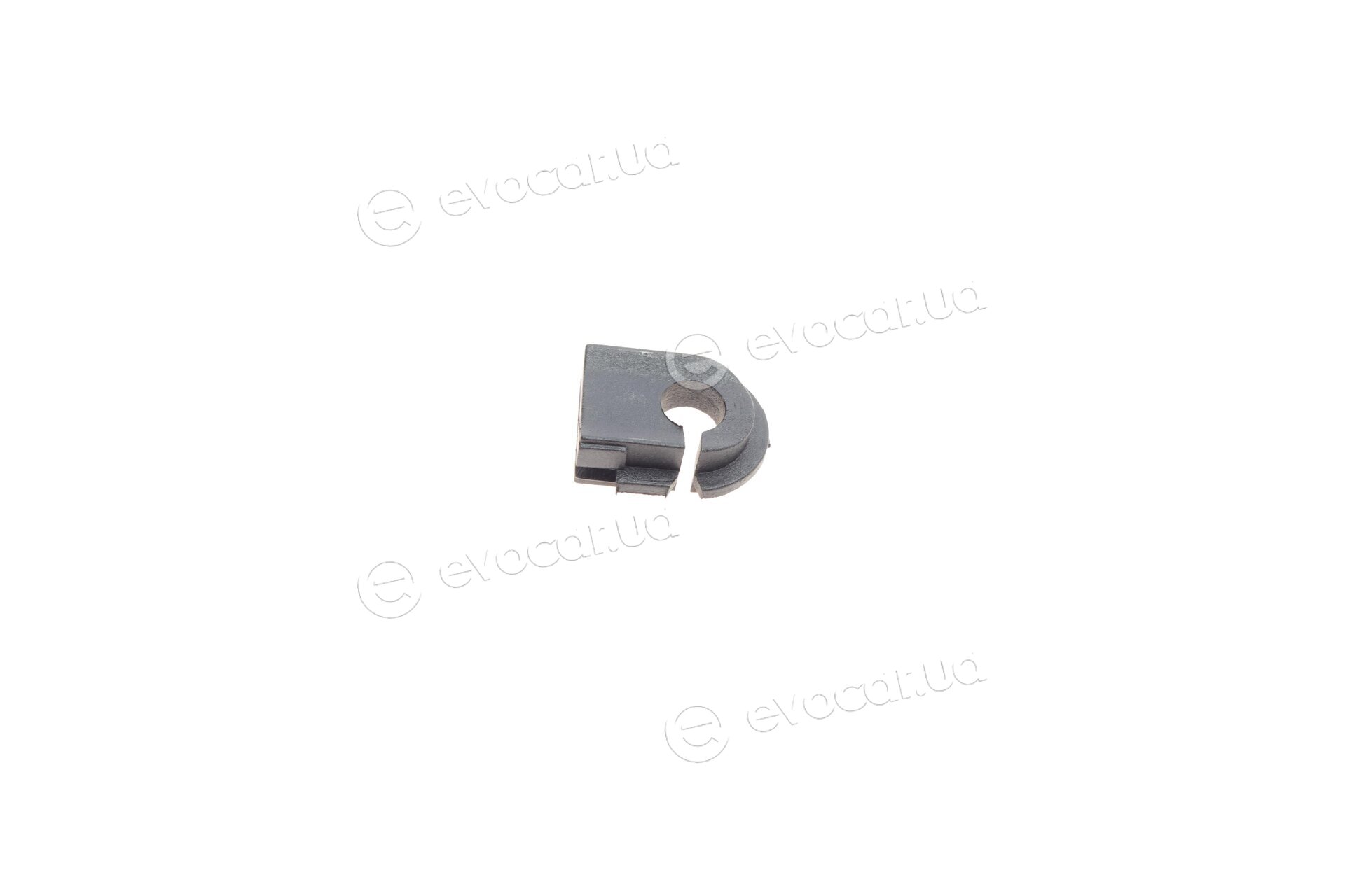 Solgy 113010