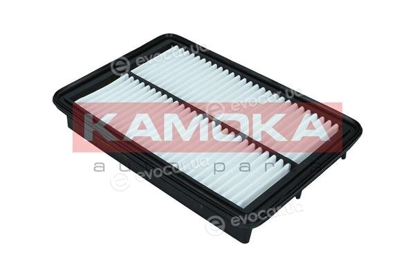 Kamoka F246301