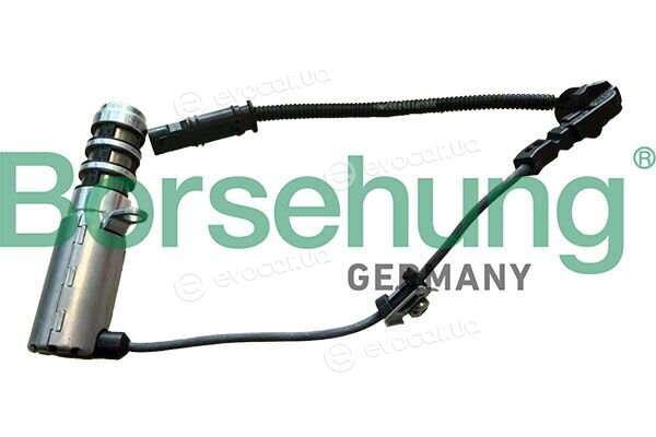Borsehung B13421