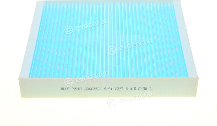 Blue Print ADG02561